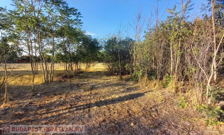 Eladó 2238 m²-es, megosztható belterületi telek Jászkiséren, bontandó házzal                                 