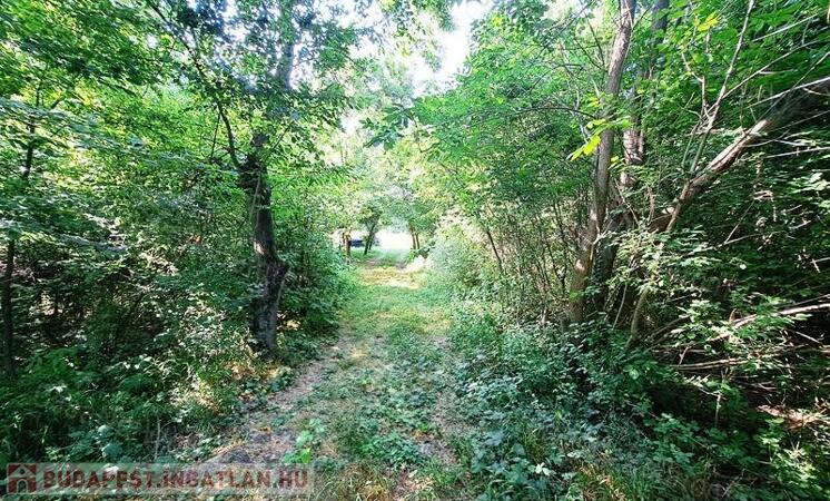 Tóparti halász telek                                 