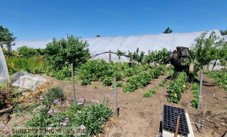 Eladó zártkerti, tehermentes családi ház nagy telekkel Cegléden!                                 