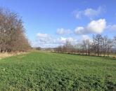 Eladó telek/földterület Tata 120 000 000 Ft