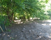 Eladó családi ház Kiskunhalas 24 900 000 Ft