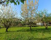 Eladó családi ház Letenye 60 000 000 Ft