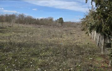 Eladó telek/földterület