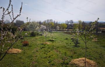 Eladó telek/földterület