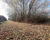 Eladó telek/földterület Dömsöd 11 600 000 Ft