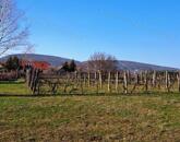 Balatonfüred zártkert 3.160 m2