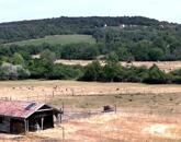 6,2 hektáros (rét) általános mg.-i terület épületekkel, építési engedéllyel