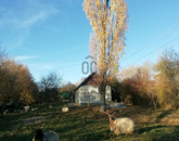 Eladó családi ház Nagykutas 8 000 000 Ft