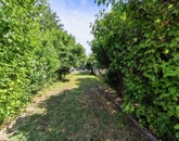 Eladó családi ház Pécs 119 999 999 Ft