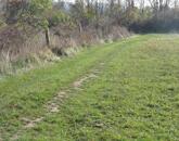 Kertes mezőgazdasági terület Vörösmálon