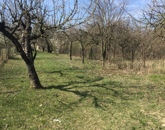 Eladó üdülő/nyaraló Rácalmás 6 900 000 Ft