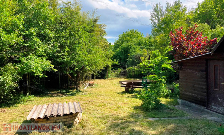 Vadregényes, utca végi madárcsicsergős faház