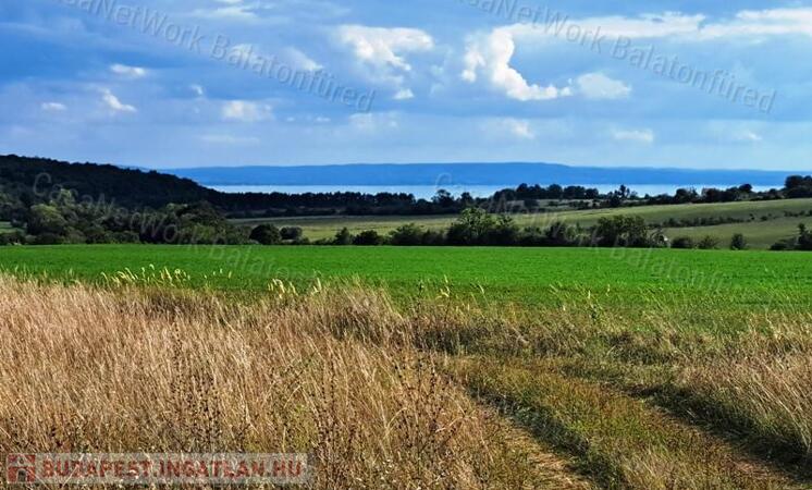Tájpanorámás terület - eladó MEZŐGAZDASÁGI TERÜLET DÖRGICSÉN                                 