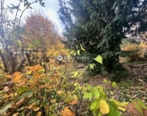 Eladó családi ház Pécs 56 900 000 Ft