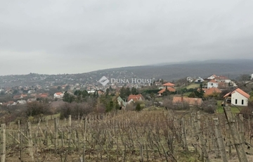 Eladó telek/földterület