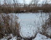 Eladó telek/földterület Tiszapüspöki 9 500 000 Ft