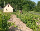 Eladó üdülő/nyaraló Solt 7 300 000 Ft