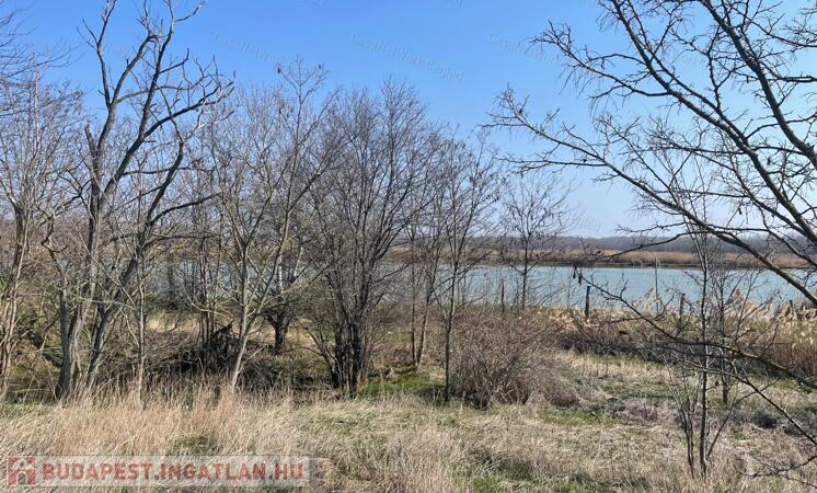 Vidéki terület több lehetőséggel!                                 