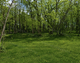 Nyugalom+Jó közlekedés-Építési telek Veresegyházon