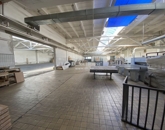 Eladó ipari ingatlan Mohács 600 000 000 Ft