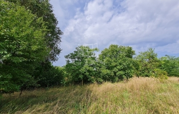 Eladó telek/földterület