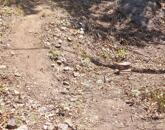 Eladó héregi zártkerti telek természetbarátoknak és nyugalomra vágyóknak