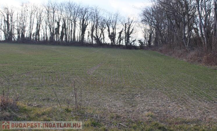 Panorámás építési telek Alsópáhokon, rendkívül kedvező áron!                                 