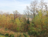 Eladó telek/földterület Zalabér 2 500 000 Ft