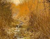 Tóparti halász telek