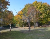 Eladó üdülő/nyaraló Szentendre 119 000 000 Ft