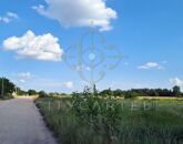 Eladó telek/földterület Vecsés 296 640 000 Ft