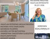 Eladó családi ház Ócsa 105 000 000 Ft