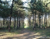 Eladó telek/földterület Veresegyház 59 900 000 Ft