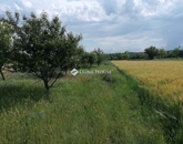 Eladó családi ház Tabajd 79 000 000 Ft