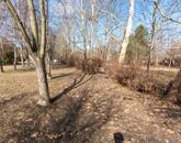 Eladó telek/földterület Gárdony 210 000 000 Ft