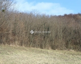 Eladó telek/földterület Alsónemesapáti 55 000 000 Ft