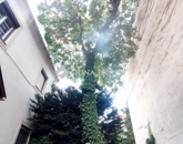 Eladó lakás Pécs 97 200 000 Ft