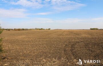 Eladó telek/földterület