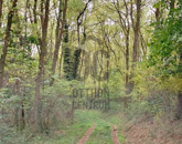 Eladó telek/földterület Bocfölde 10 900 000 Ft