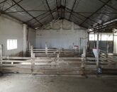 Kiadó telek/földterület Lakhegy 450 000 Ft