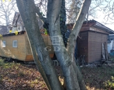 Eladó üdülő/nyaraló Szigetszentmárton 24 900 000 Ft