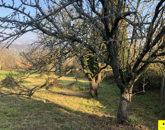 Eladó telek/földterület Hévíz 125 000 000 Ft