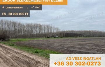 Eladó telek/földterület