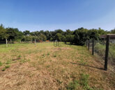 Eladó telek/földterület Sárszentmihály 5 490 000 Ft