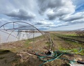 Eladó családi ház Röszke 20 000 000 Ft