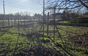 Eladó telek/földterület