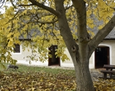 Eladó családi ház Pécsely 84 900 000 Ft