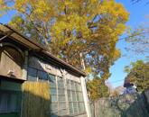 Eladó családi ház Budapest III. ker 59 990 000 Ft