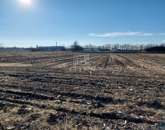 Eladó ipari ingatlan Újfehértó 34 500 000 Ft