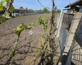 Eladó családi ház Szentlőrinckáta 36 000 000 Ft